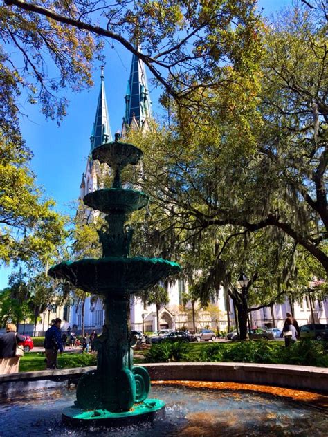 savannah ga yelp